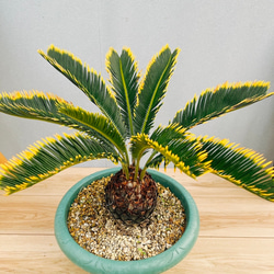 bc46bcc4a3fe7bb92760be97d6e57b