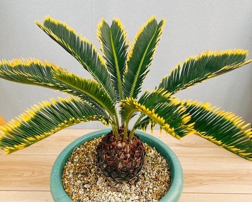 bc46bcc4a3fe7bb92760be97d6e57b