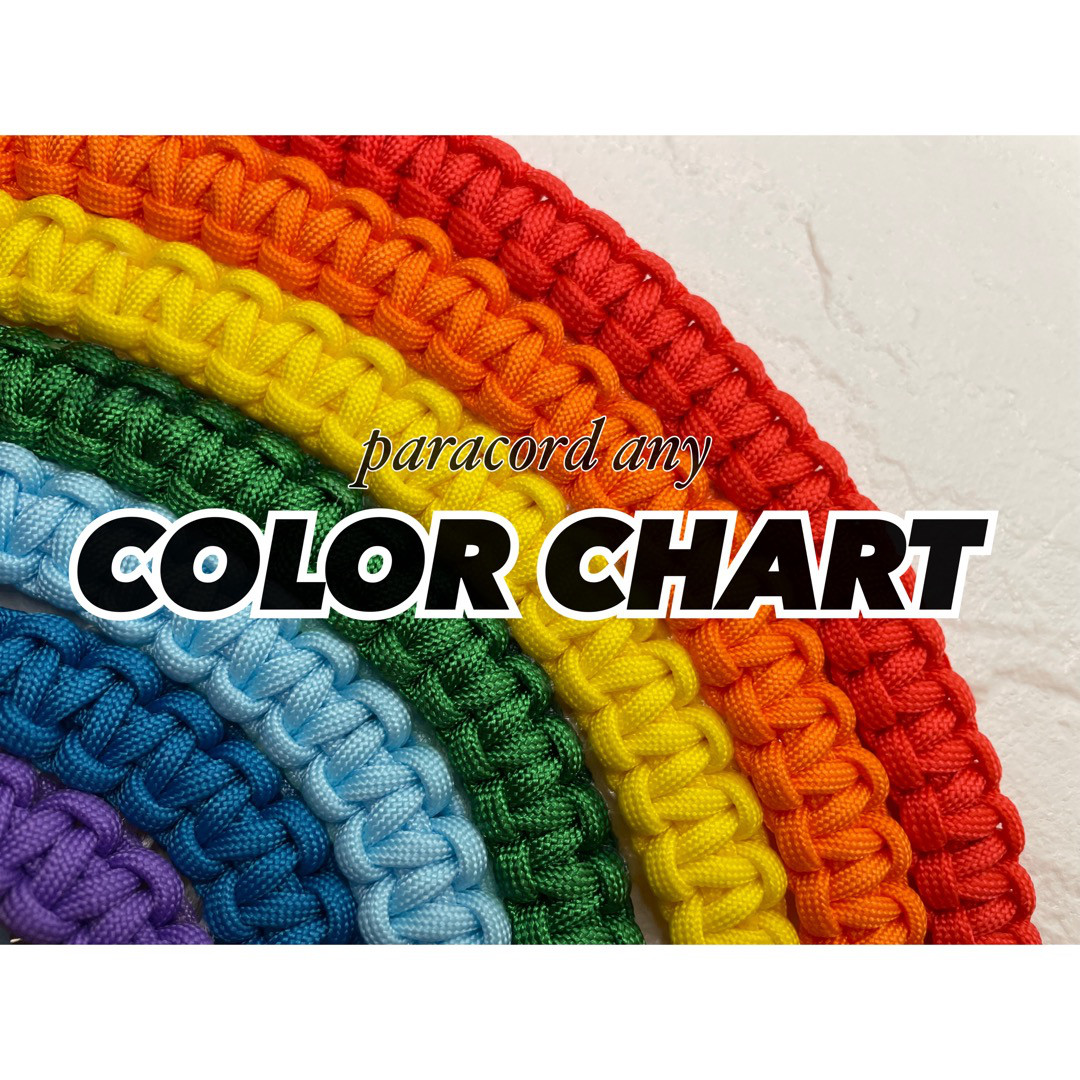 カラーチャート 450,000円