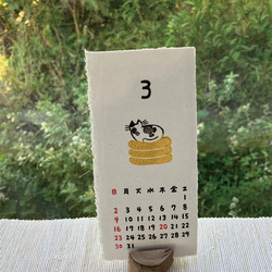 第11張的照片