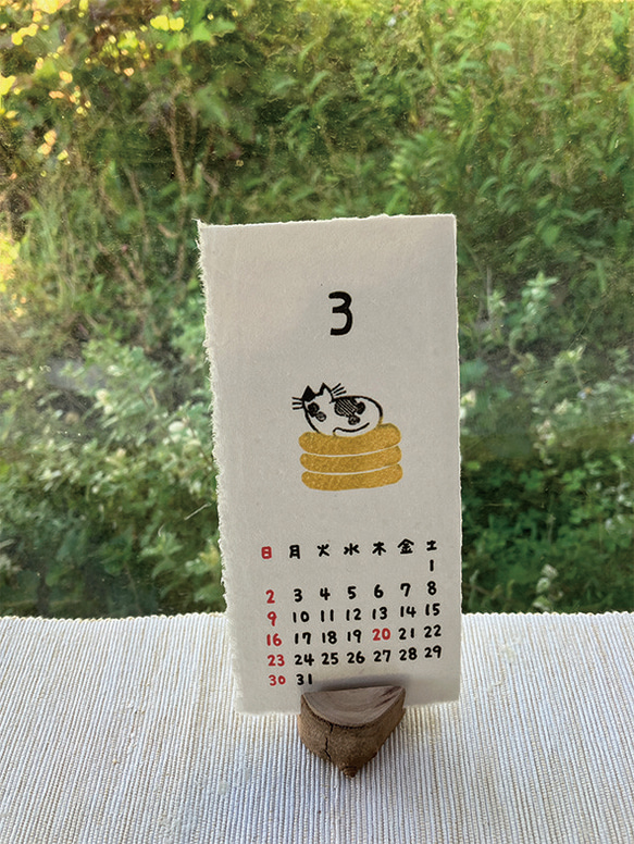  第11張的照片