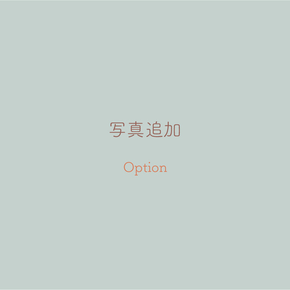 【2匹目追加】ぬいぐるみ追加オプション