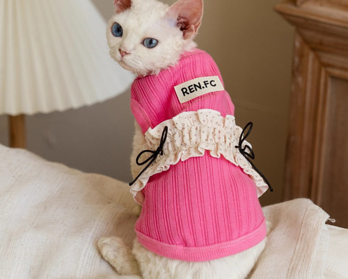 ピンクの猫さま　専用です ピンクの猫様専用