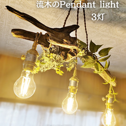 限定1台！ 流木のペンダントライト3灯 RUNE LED電球セット シーリング