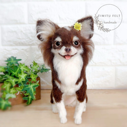 ◇こちらはサンプル画像になります◇羊毛フェルト♡ 愛犬 オーダー