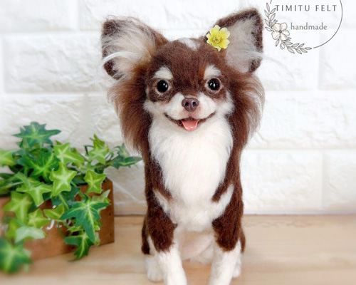 ◇こちらはサンプル画像になります◇羊毛フェルト♡ 愛犬 オーダー