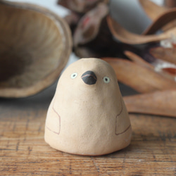 單花瓶王企鵝小雞 第1張的照片