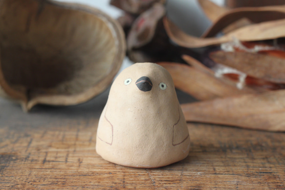 單花瓶王企鵝小雞 第1張的照片