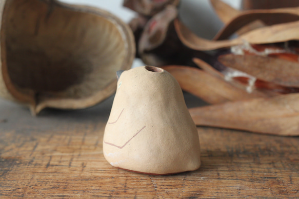 單花瓶王企鵝小雞 第3張的照片