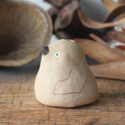 單花瓶王企鵝小雞 第2張的照片