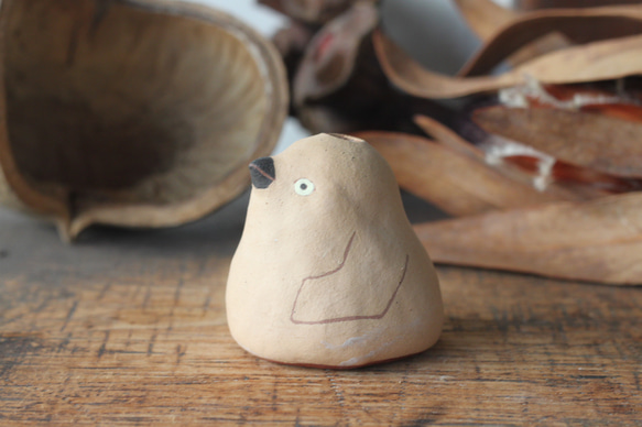 單花瓶王企鵝小雞 第2張的照片