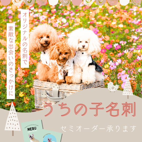 ペット名刺 うちの子名刺 セミオーダー 100枚｜アイスグリーンの