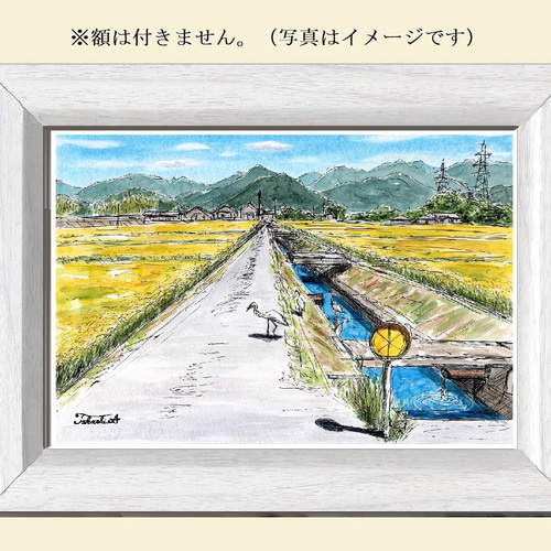 原画一点物 「干拓地に広がる秋の風景」 ＜ペンスケッチ＋透明水彩