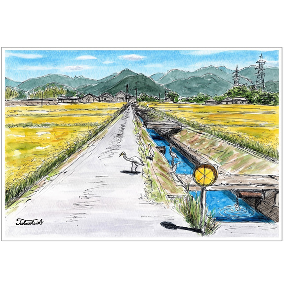 原画一点物 「干拓地に広がる秋の風景」 ＜ペンスケッチ＋透明水彩