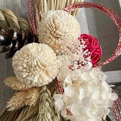 2026年しめ縄　ピンポンマム　ホワイト　冬支度　しめ縄　お飾り　正月飾り　お正月飾り　しめ飾り　2026 3枚目の画像