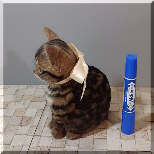 キジトラ猫　ねこ　ネコ　CAT こうめさん😻 その手は何⁉️🤔🐾🥰 #キジトラ猫 #きじとら #猫の