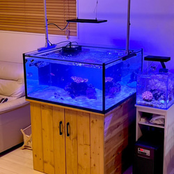 ひげくまページ　オーダー水槽台 水槽台 オーダー可能 その他家具 家具製作工房「KAZOKU BASE