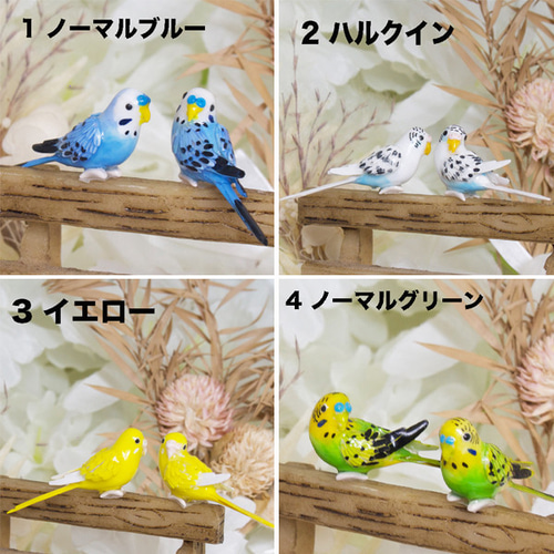 セミオーダー】インコちゃんのハロウィンリース 立体・オブジェ 「くれ  