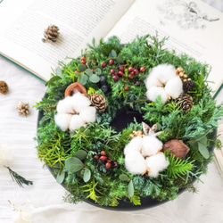 フレッシュ壁かけクリスマスツリー 吊り下げツリー 省スペース