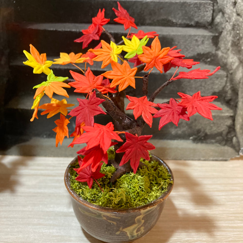 再販しました ミニチュア盆栽〈紅葉〉 盆栽 AB-Hachi Garden