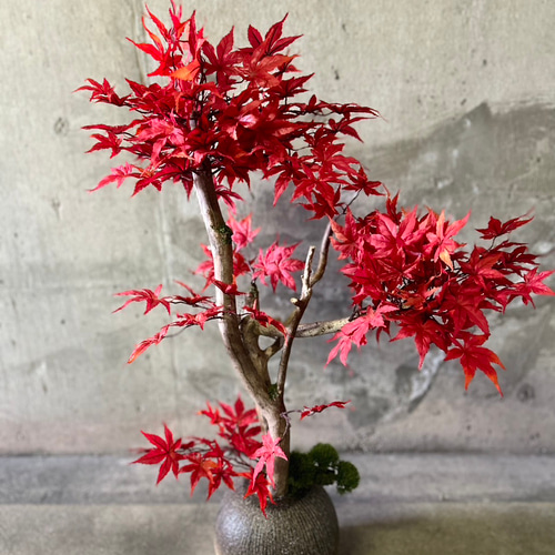 光触媒 人工観葉植物 ウォールグリーン フェイクグリーン 赤