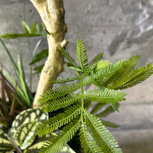 光触媒 人工観葉植物 ウォールグリーン フェイクグリーン