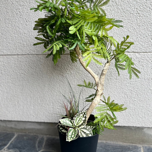 光触媒 人工観葉植物 ウォールグリーン フェイクグリーン