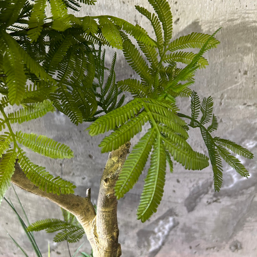 光触媒 人工観葉植物 ウォールグリーン フェイクグリーン