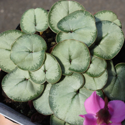 78030e28dd2d22f0c4a0151c4a52fd