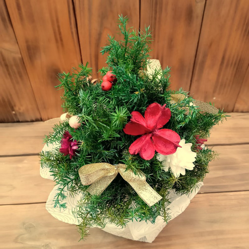 卓上クリスマスツリー プリザーブドフラワー 卓上 木の実 ミニ
