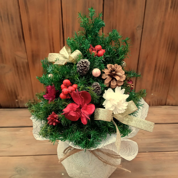 【魔女の棲む森 ～木の実と休日～】ドライフラワー クリスマス オーナメント 魔女の棲む森 ～Hutte～】ダイオウショウ まつぼっくり オーナメント