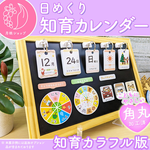 カラフル】前向き日めくりカレンダー 知育 視覚支援 保育教材