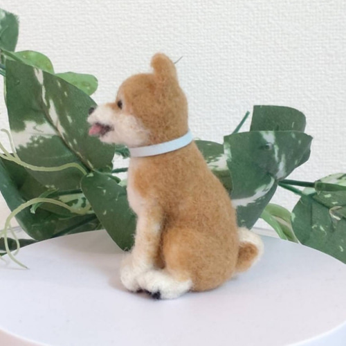 羊毛フェルト 手のひらサイズのおすわり柴犬 犬のぬいぐるみ 羊毛