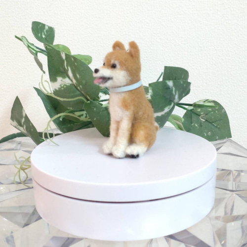 羊毛フェルト 手のひらサイズのおすわり柴犬 犬のぬいぐるみ