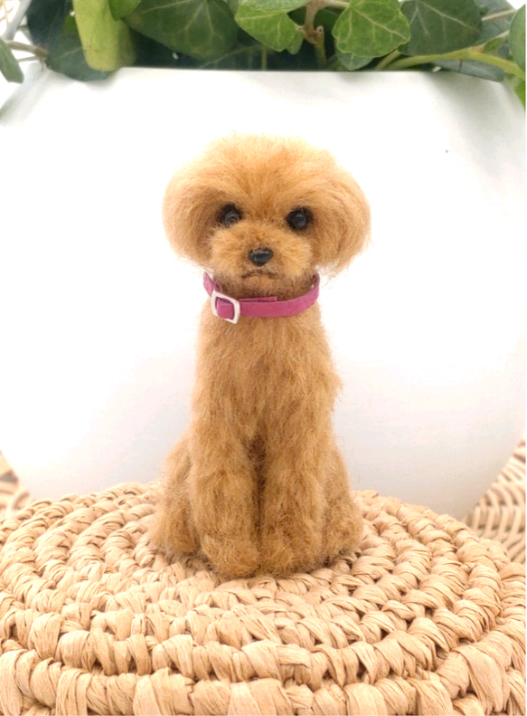 羊毛フェルト 手のひらサイズのおすわりトイプードル 犬の
