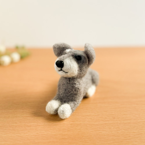 羊毛フェルト ミニチュアシュナウザー 羊毛フェルト すぱいらる工房