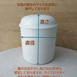  第6張的照片