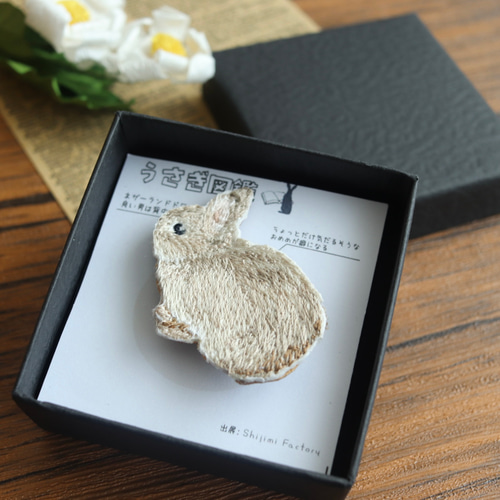 うさぎ　ネザーランドドワーフ　ミニうさぎ　ピンバッジ　桜　ブローチ　チャーム Animal Friends ステッカーワッペン ネザーランドドワーフ 動物