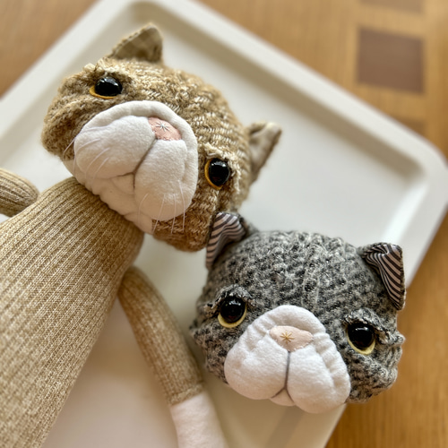 エキゾチックショートヘア風ねこちゃん❗️】靴下ぬいぐるみ