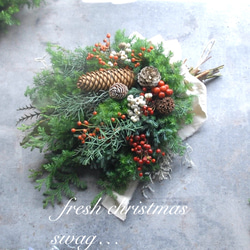 生針葉樹Xmasスワッグ✴︎ 長さ約40cm ~生の針葉樹の香り~野バラの実