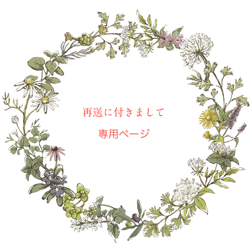 再送用専用ページ 羊毛フェルト Milkyreko 通販 18380892