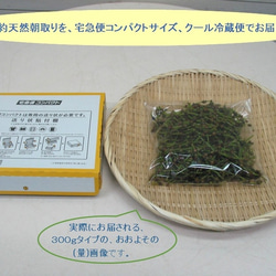 秋のおつな味...山形県最上峡舟下りの里〜新鮮天然朝取りご予約山菜 赤ミズ [ミズの実.ミズタマ.ムカゴ..３００ｇ] 3枚目の画像