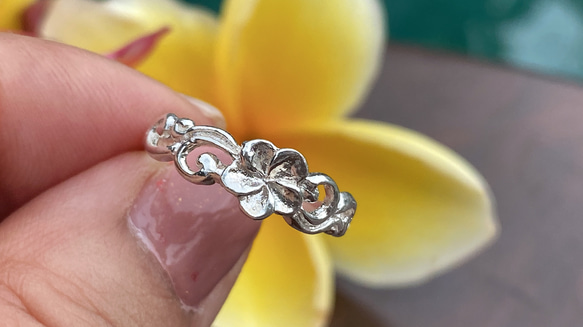 SILVER925 YELLOW FLOWER RING/シルバー/リング SILVER925 YELLOW FLOWER RING/シルバー/リング