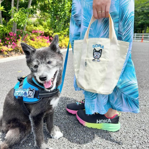 MIXちゃん対応☆お顔刺繍 お散歩バッグ キャンパス トートバッグ 犬種