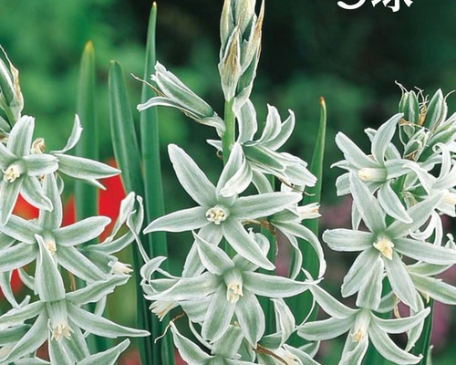 c44c14b249bd572c81a697ddfd7e4d