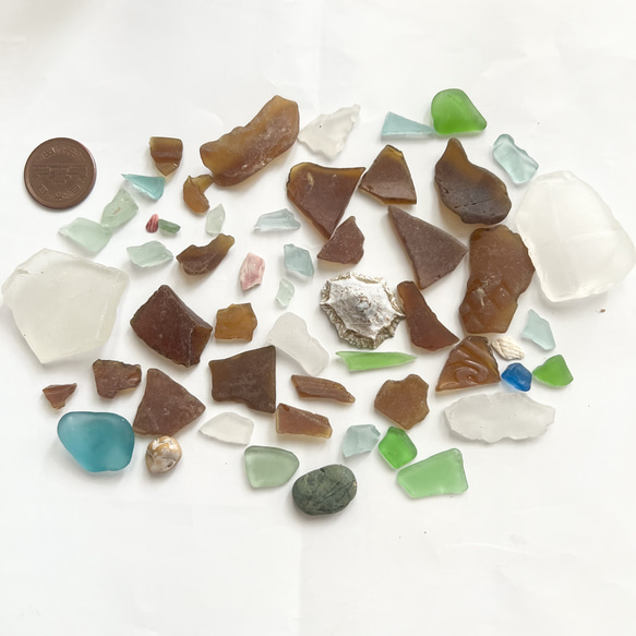 ナチュラルシーグラス ミックス JOO01 その他素材 ドイリー さん 通販  