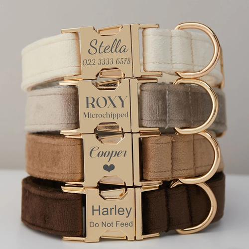 オーダーメイド 首輪 ペット 犬 猫 お名前入り ペット服・アクセサリー