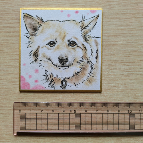 ミニ色紙にペットの似顔絵描きます！ 絵画 実幸 通販 18383291｜Creema