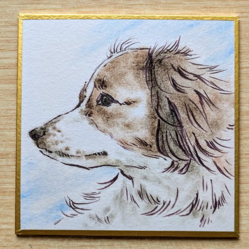 ミニ色紙にペットの似顔絵描きます！ 絵画 実幸 通販 18383291｜Creema
