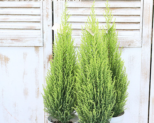 f5ad4534d3aa29a382200518d827f4